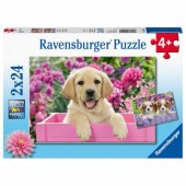 Puzzle 2x24 Me and My Pal