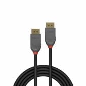 DisplayPort cable 1m 36481