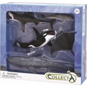 Figurka Collecta Zestaw zwierzęta morskie 5 el.