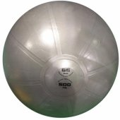 Gym Ball Pro AHF148 65 cm Antiburst Grey