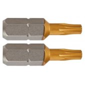 Antgalis T30 x 25mm, 2 vnt.