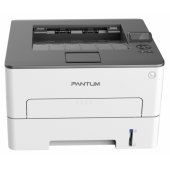 P3305DW baltas