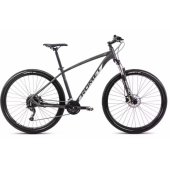 29" Rambler R9.4 18" / M Graphite