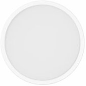 Išmanusis lubinis šviestuvas D30 BHR9934GL
