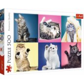 Puzzle 500 pcs. Kittens Trefl 37377