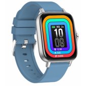 FW55 Aurum Pro Silver