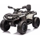Quad Can Am Outlander ATV (PA.DK-CA005.2.4GHZ.SZA) Gray