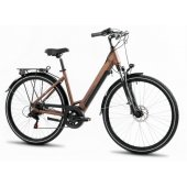 Electric bike ProEco Wave AN 1.0 R 504Wh 17" brown-black