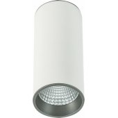 _7649528 Lubinis šviestuvas Italux Moldes Big WH/ GR Ceiling 3000K SLC7392/