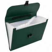Folder Organizer for Documents, 13 Compartments, Green, A4, Holder