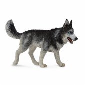 Collecta figurine Siberian Husky dog (004-88707)