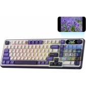 RK S98 Blackberry Beige Switch (EN)