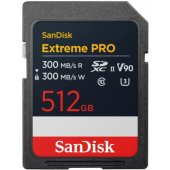 SDXC 512GB Class 10 SDSDXDM-512G-GN4IN