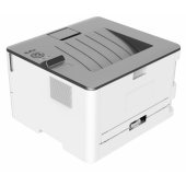 P3305DN baltas