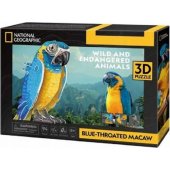 Cubic Fun Puzzle 3D  Sapphire macaw
