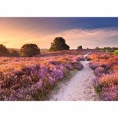 Ravensburger Puzzle Beautiful Walkways - Dream Path in Pink (1000 piec