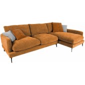 DAISY RC Brown