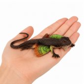 Agama Lizard Webbed Rubber Figure Stretchable Realistic 13 cm