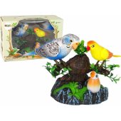 _6968115 Singing moving parakeets Colorful tree
