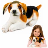 LEAN Toys Plüsch-Beagle-Hund, Kuscheltier, weicher Hund, 25 cm