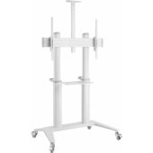 Techly Techly interaktyviosios lentos stovas 70–120" 140 kg baltas
