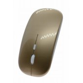 4D SlimFit Gold