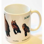 Soliton Kubek Sowy