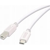 45356 USB-C į USB-B 3 m baltas