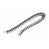 Drywall Collated Fine Thread Screw 35mm x 3.5mm (1000pcs) DWF4000350