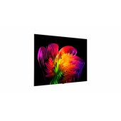 OLED83W69LA