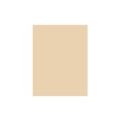 Sisley Sisley Le Teint makiažo pagrindas 30ml 1B Ecru