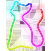 _5866857 Neon LED RGB CAT FLRN03 + RC Forever Light