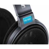 HD 600 Black/ Grey