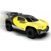 Can Cruisers Car Assorti