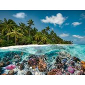 Ravensburger dėlionė A dive in the Maldives (2000 detalių)