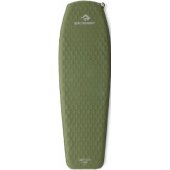 Camp Plus Olive