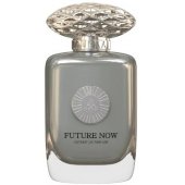 _8326797 AURAA DESIRE Future Now Extrait de Parfum purškiamieji kvepalai 100ml